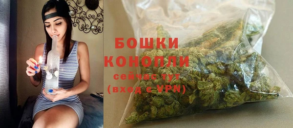 соль ск Белокуриха