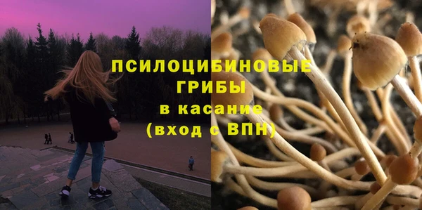 соль ск Белокуриха