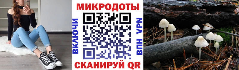 Псилоцибиновые грибы MAGIC MUSHROOMS  закладка  Бородино 
